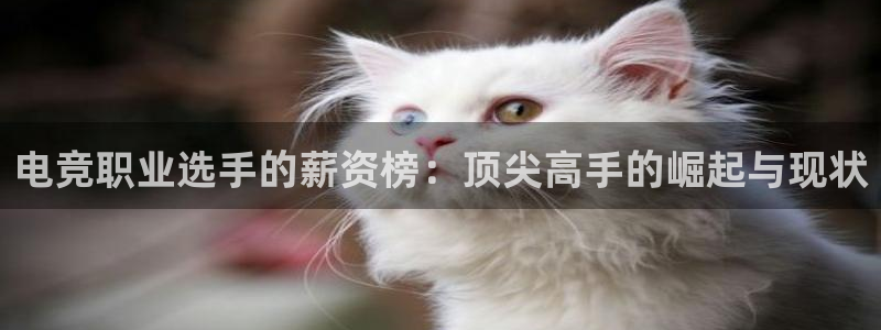 火狐电竞平台app下载：电竞职业选手的薪资榜：顶尖高手的崛起与现状