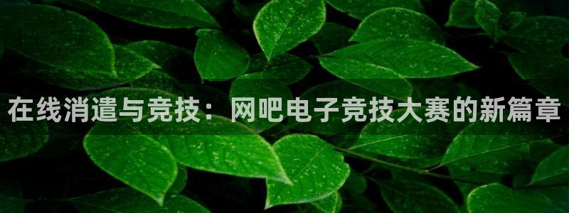 火狐电竞首页：在线消遣与竞技：网吧电子竞技大赛的新篇章