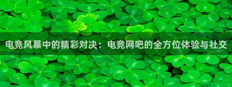 火狐电竞官方网站：电竞风暴中的精彩对决：电竞网吧的全方位体验与社交