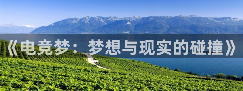 火狐电竞APP：《电竞梦：梦想与现实的碰撞》