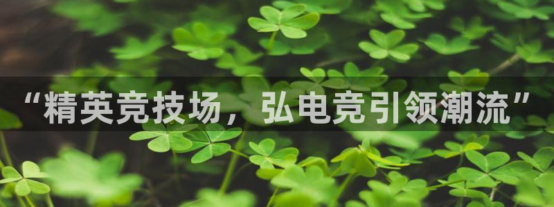 火狐电竞官网：“精英竞技场，弘电竞引领潮流”