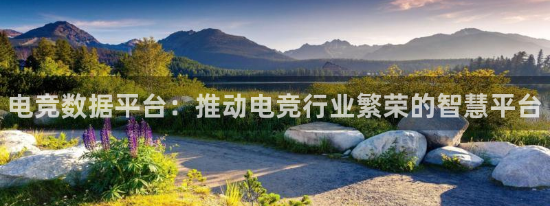 火狐电竞怎么样
