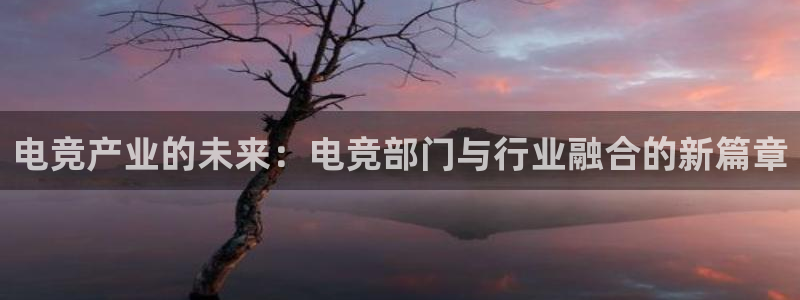 火狐电竞huohu：电竞产业的未来：电竞部门与行业融合的新篇章