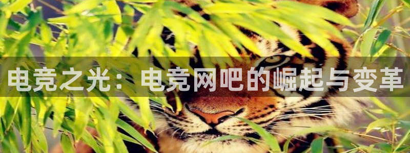 火狐电竞huohu：电竞之光：电竞网吧的崛起与变革