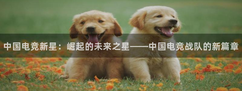 火狐电竞app官网下载：中国电竞新星：崛起的未来之星——中国电竞战队的新篇章