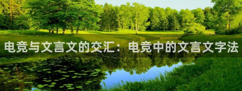 火狐电竞app官网下载