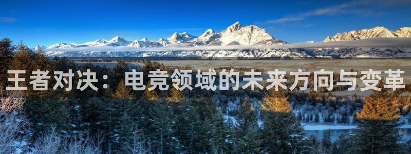 火狐电竞平台app下载：王者对决：电竞领域的未来方向与变革