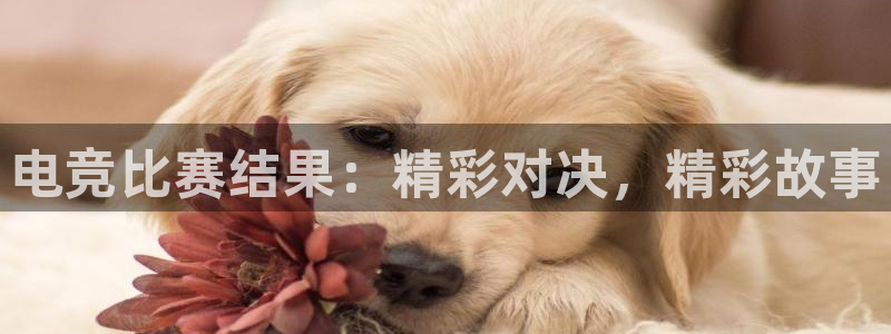 火狐电竞APP首页：电竞比赛结果：精彩对决，精彩故事