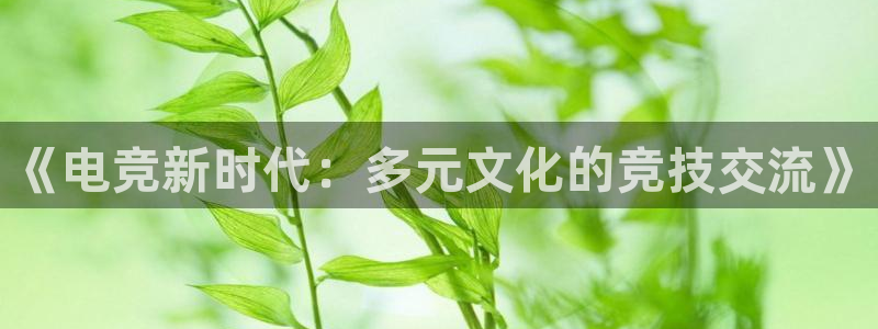 火狐电竞网站：《电竞新时代：多元文化的竞技交流》