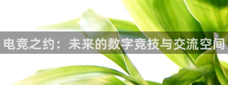 火狐电竞最新官网入口：电竞之约：未来的数字竞技与交流空间