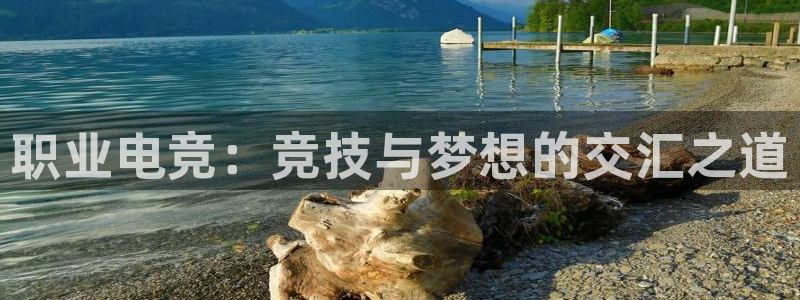 火狐电竞huohu：职业电竞：竞技与梦想的交汇之道